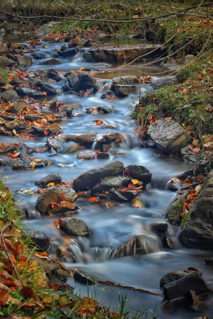 A long exposure of a small stream flowing between stones covered with orange autumn leaves.