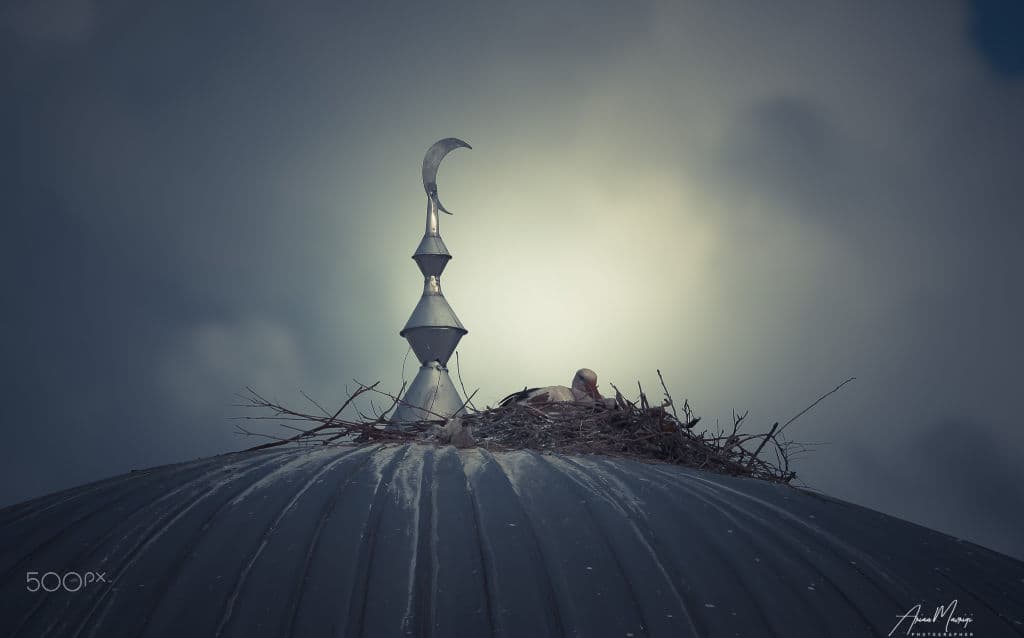 A white stork sitting on a large nest built on a metal dome beside a crescent finial, under a stormy sky.